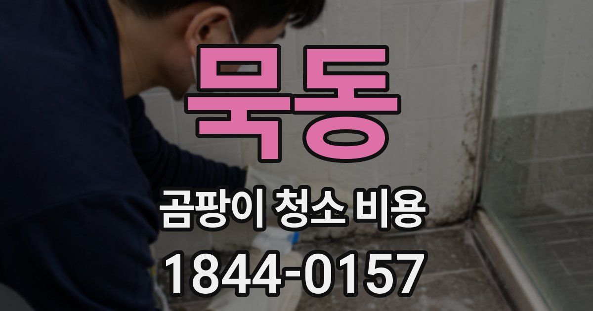 묵동 곰팡이 청소 비용