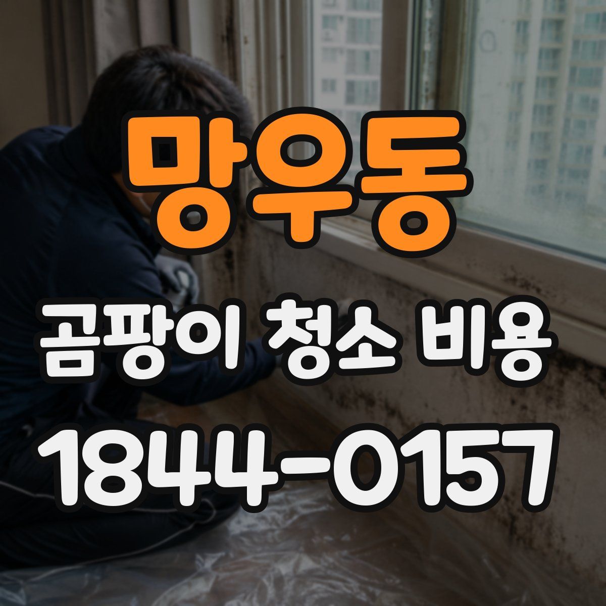 망우동 곰팡이 청소 비용