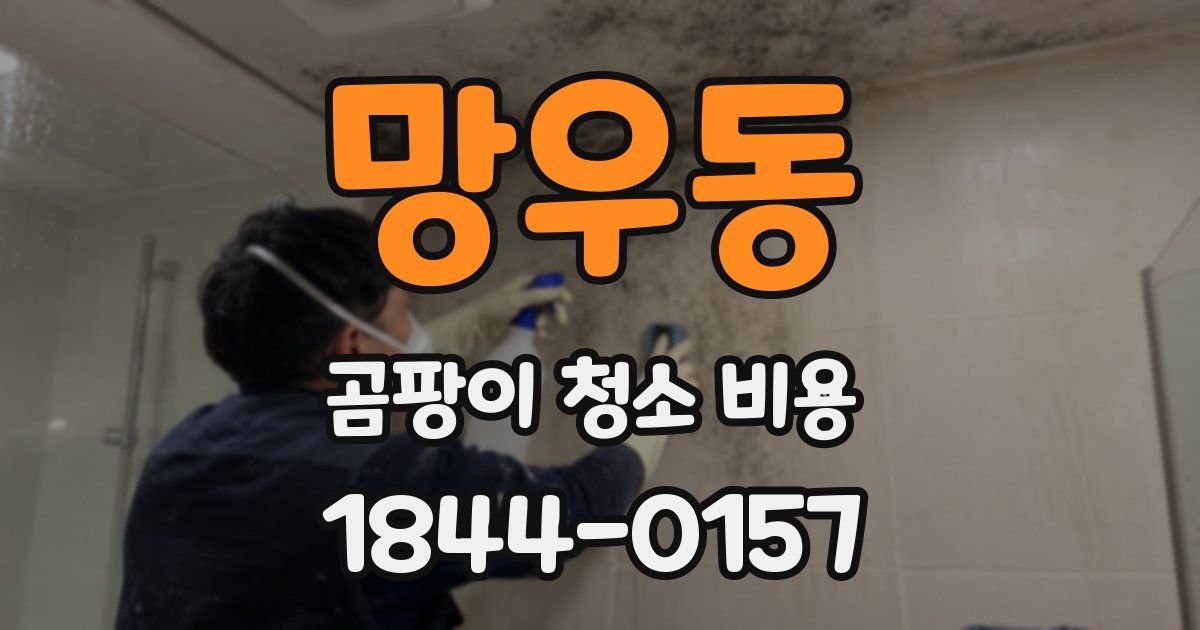 망우동 곰팡이 청소 비용