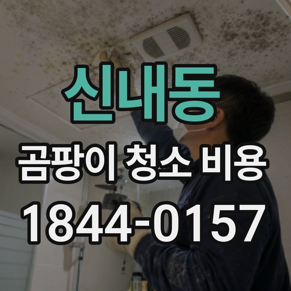 신내동 곰팡이 청소 비용