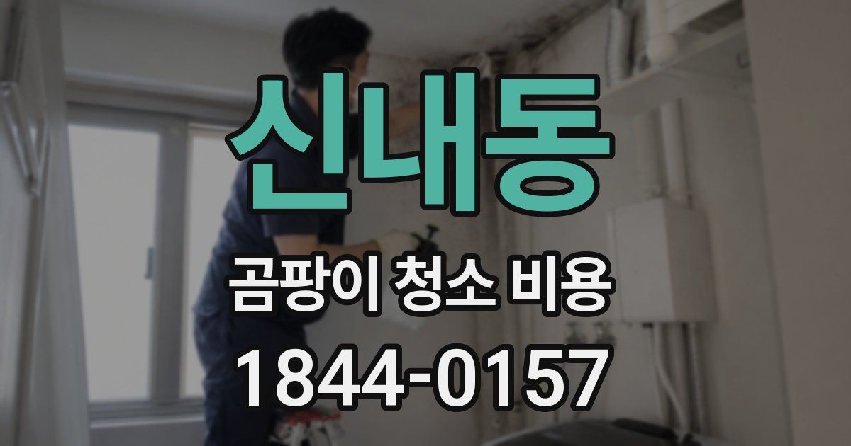 신내동 곰팡이 청소 비용