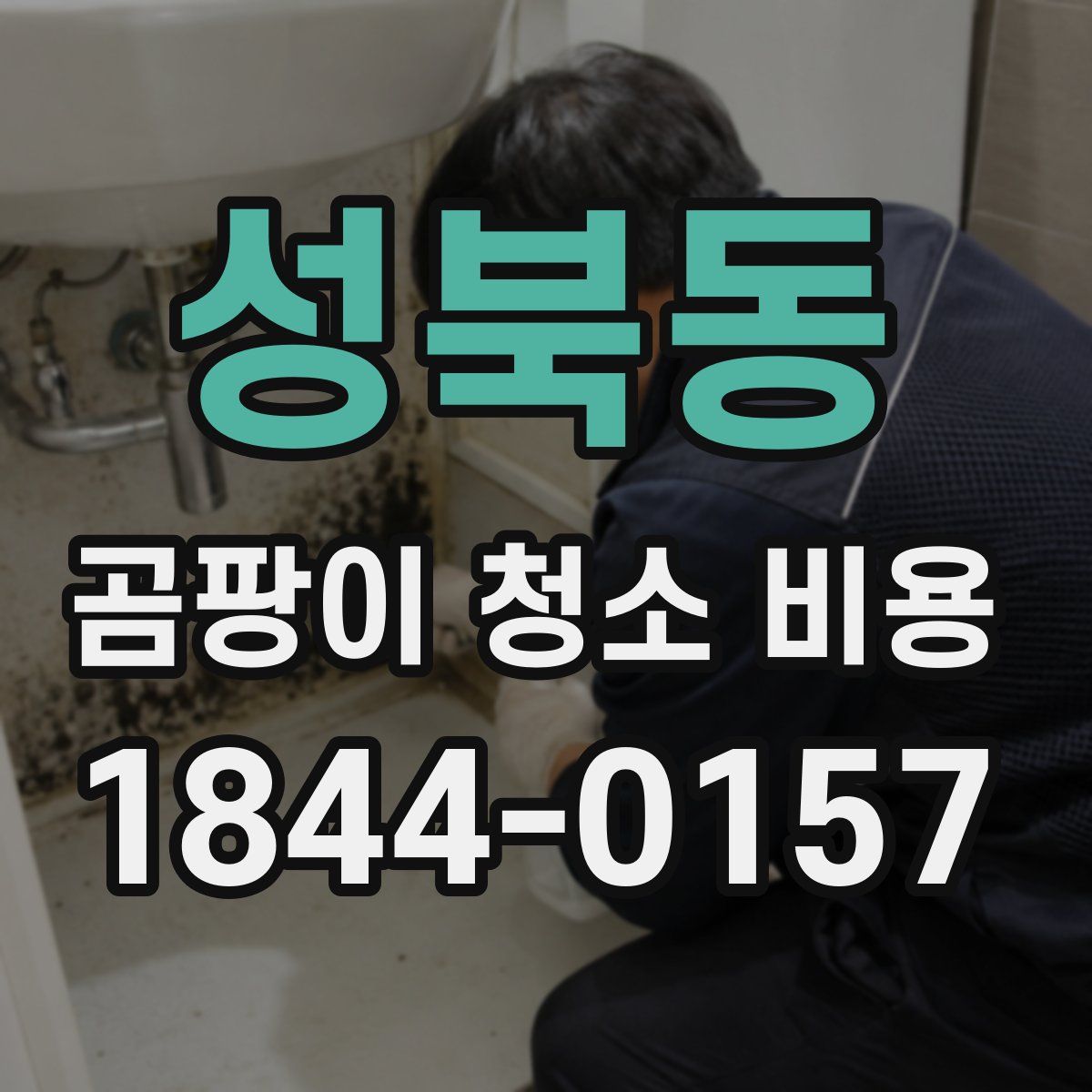성북동 곰팡이 청소 비용