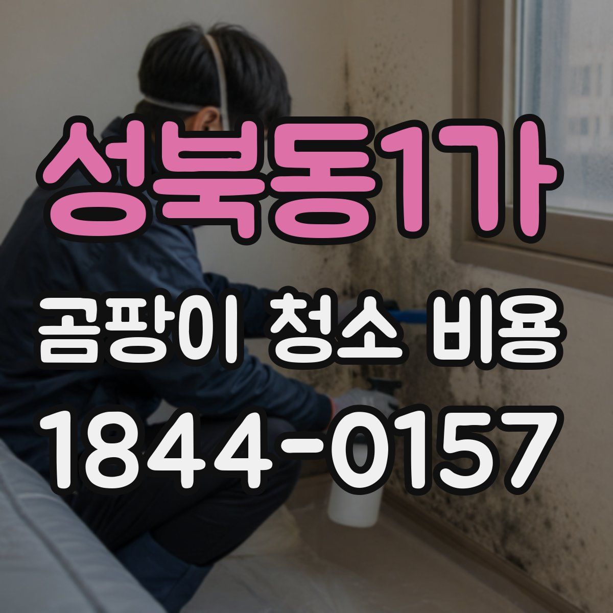 성북동1가 곰팡이 청소 비용