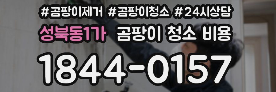 성북동1가 곰팡이 청소 비용