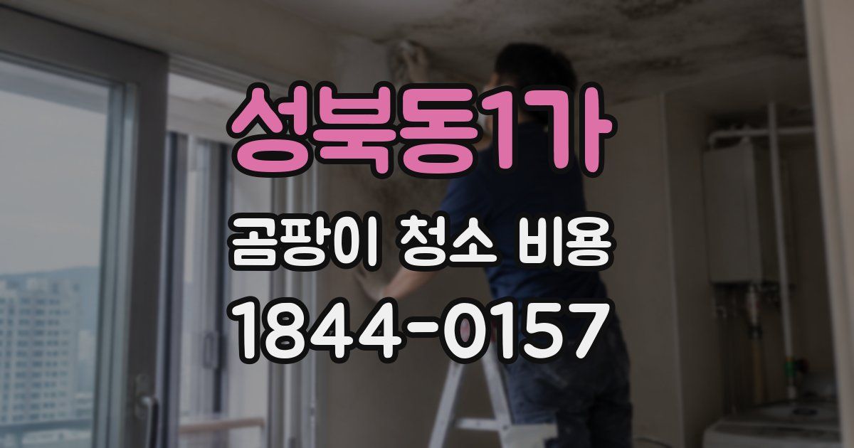 성북동1가 곰팡이 청소 비용