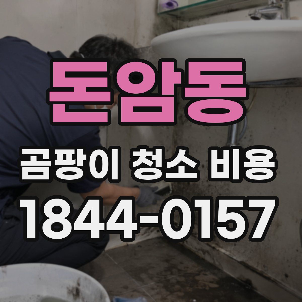 돈암동 곰팡이 청소 비용
