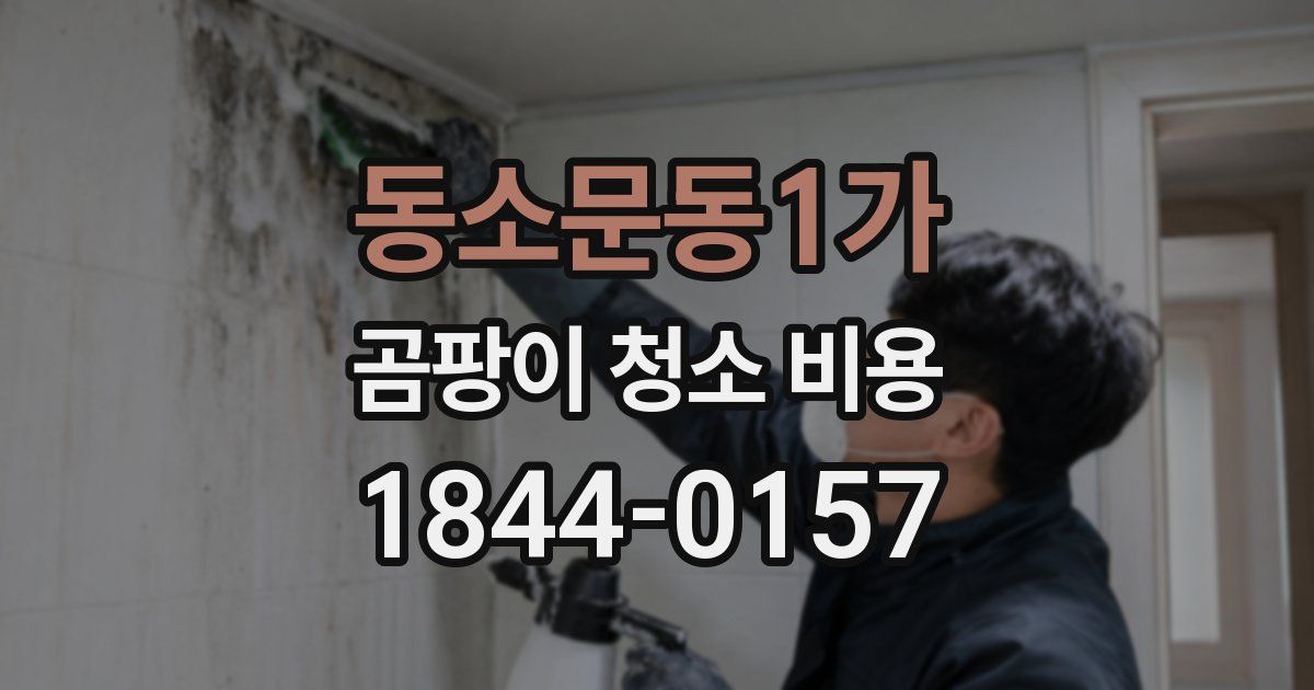동소문동1가 곰팡이 청소 비용