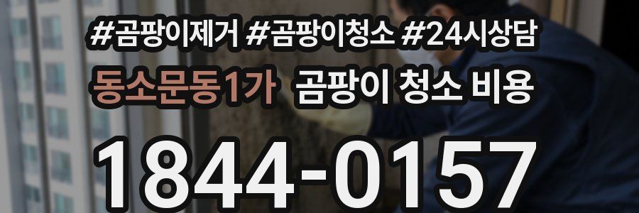 동소문동1가 곰팡이 청소 비용