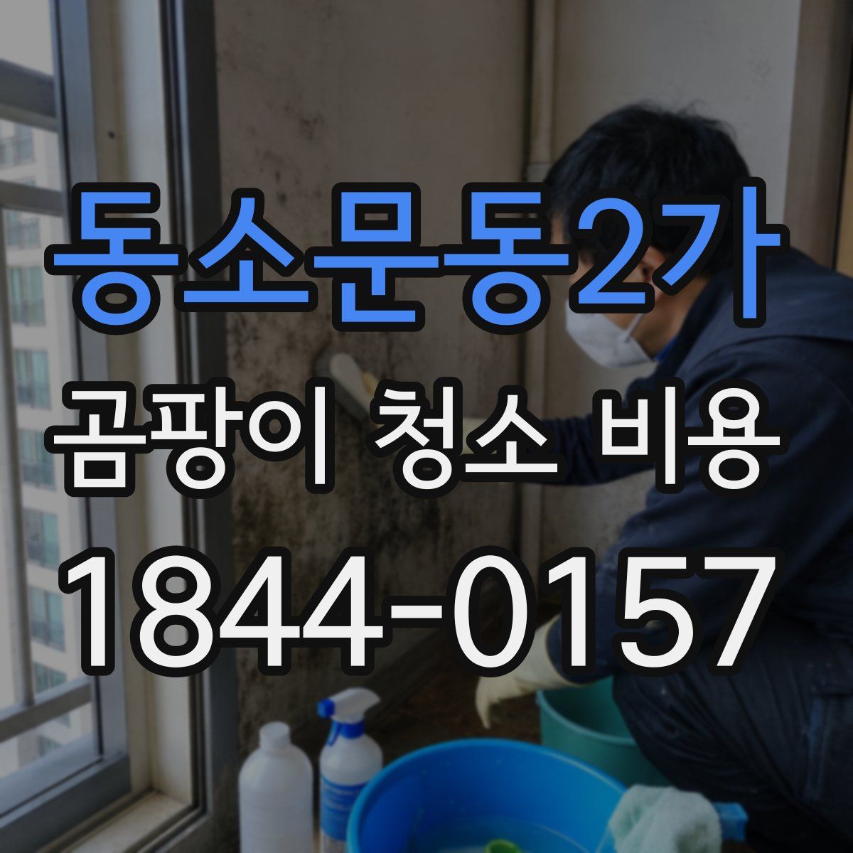 동소문동2가 곰팡이 청소 비용