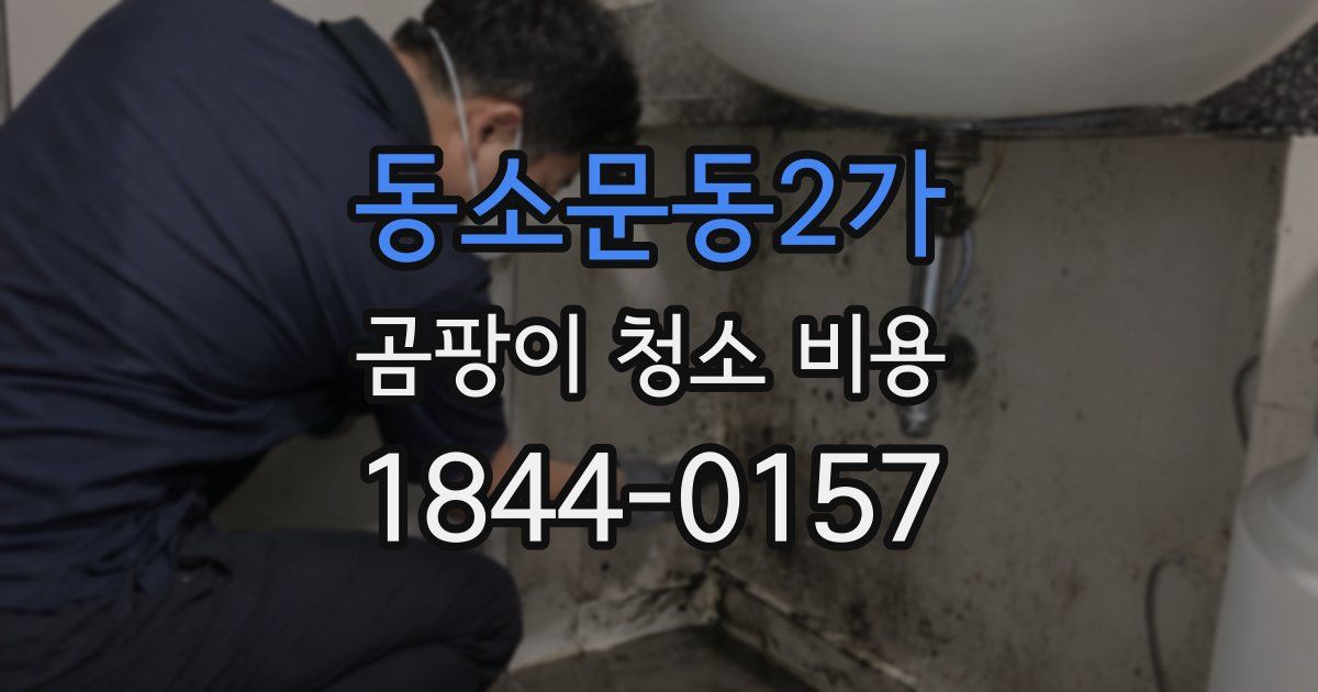 동소문동2가 곰팡이 청소 비용