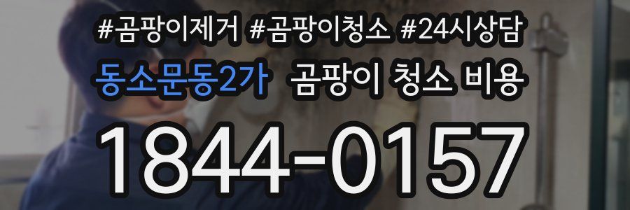 동소문동2가 곰팡이 청소 비용