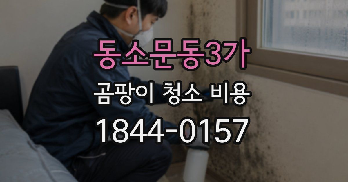 동소문동3가 곰팡이 청소 비용