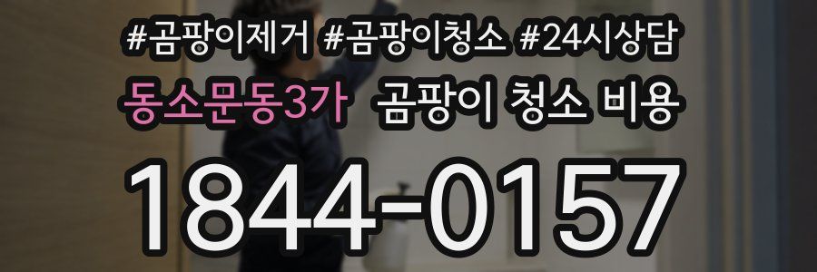 동소문동3가 곰팡이 청소 비용