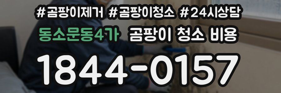 동소문동4가 곰팡이 청소 비용
