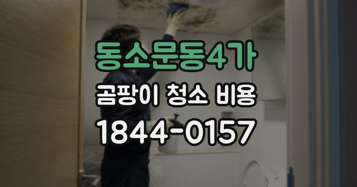 동소문동4가 곰팡이 청소 비용