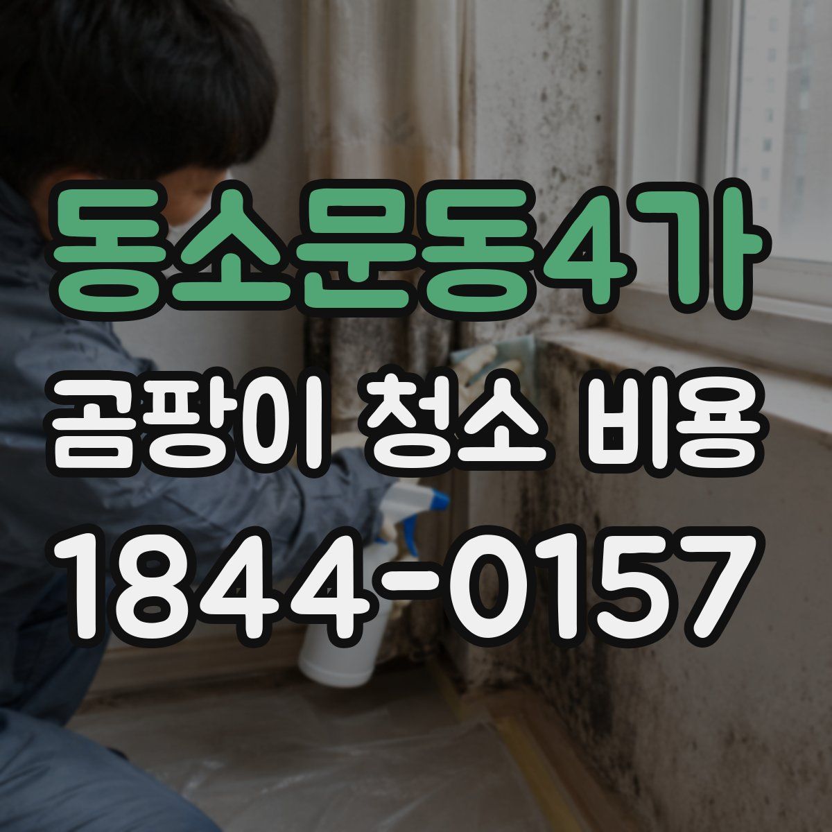 동소문동4가 곰팡이 청소 비용