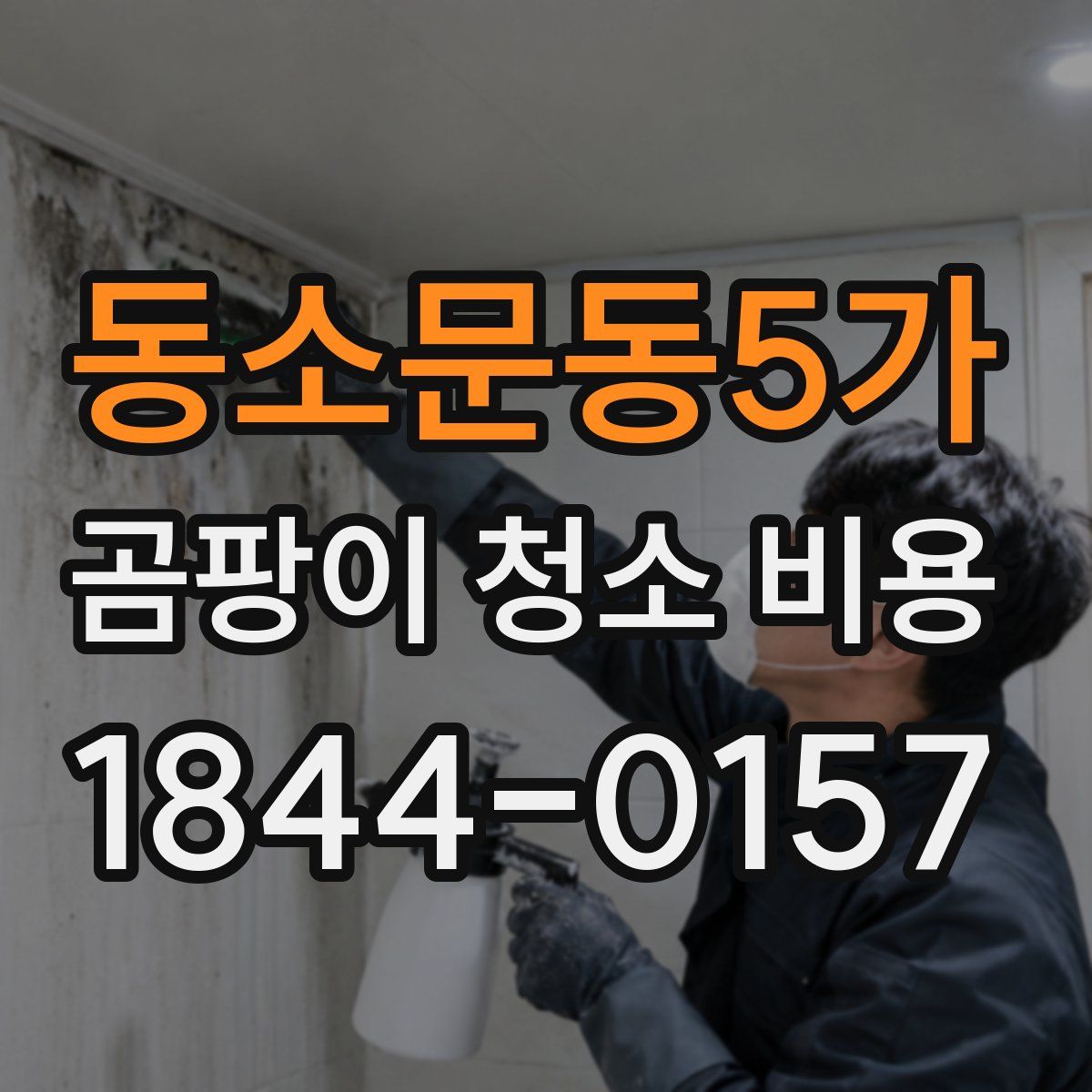 동소문동5가 곰팡이 청소 비용