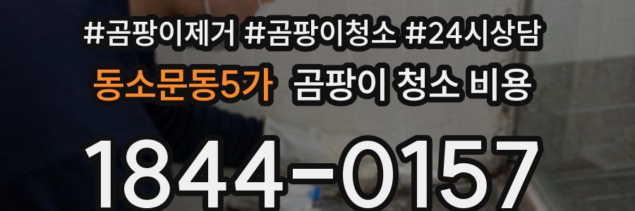 동소문동5가 곰팡이 청소 비용