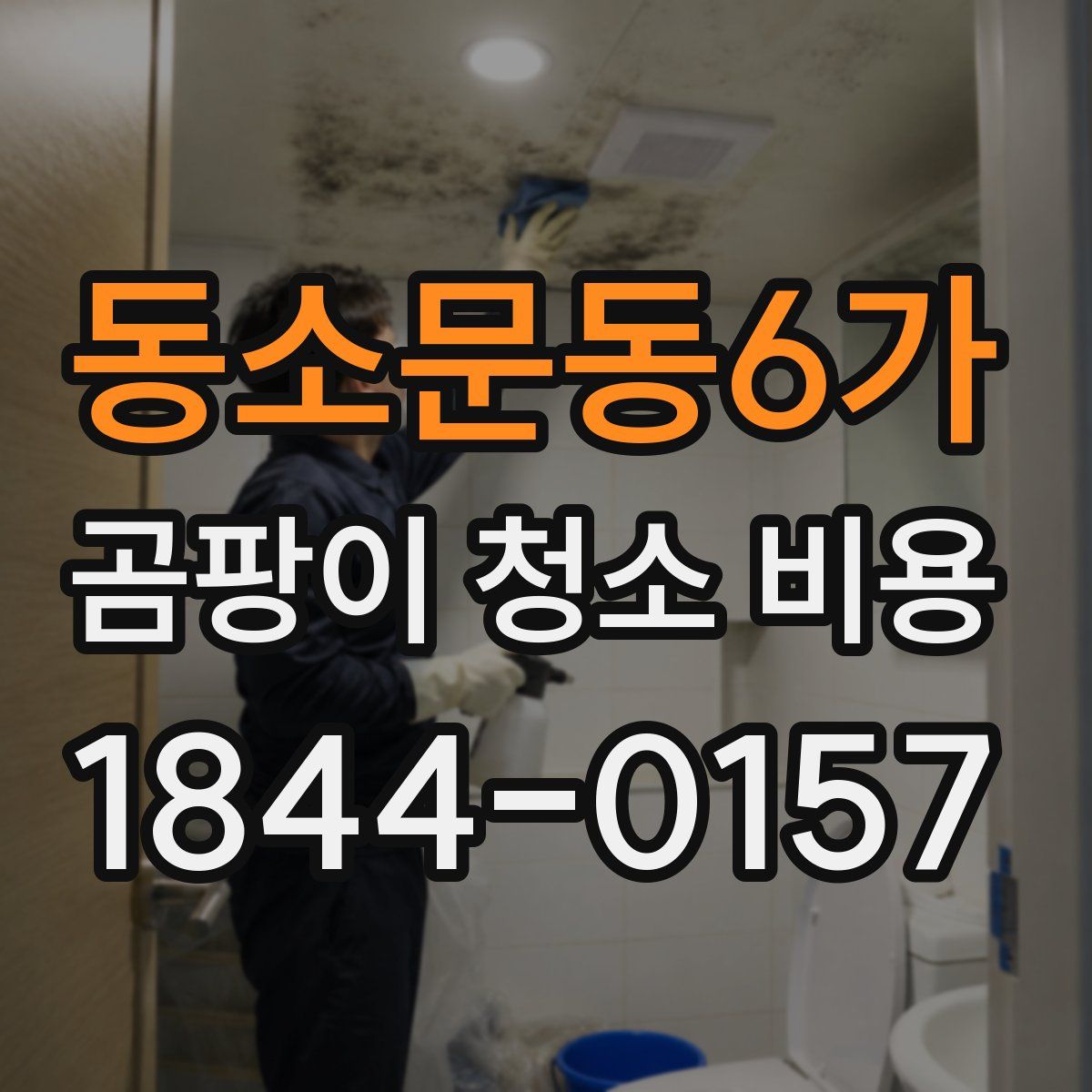 동소문동6가 곰팡이 청소 비용