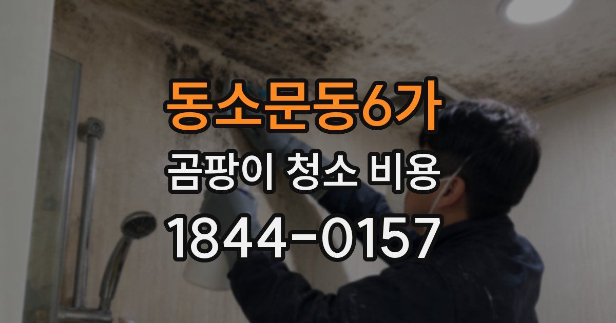 동소문동6가 곰팡이 청소 비용