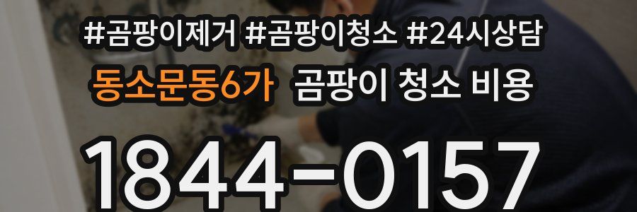동소문동6가 곰팡이 청소 비용