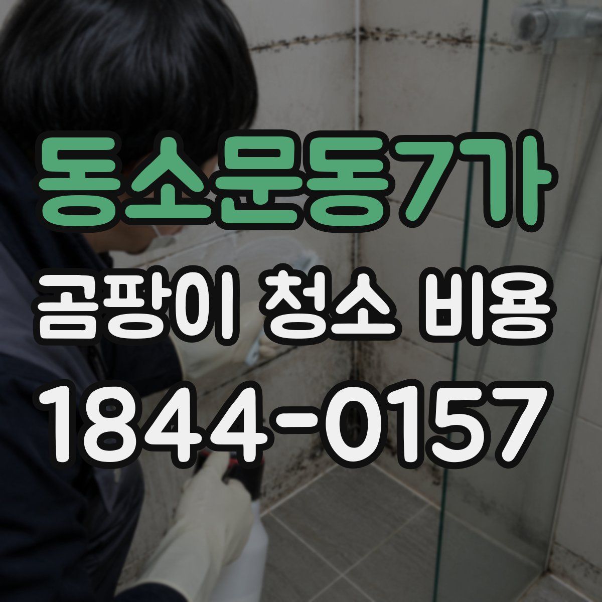 동소문동7가 곰팡이 청소 비용