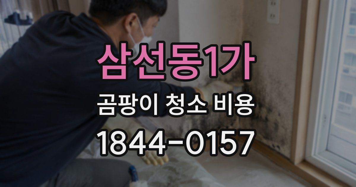 삼선동1가 곰팡이 청소 비용