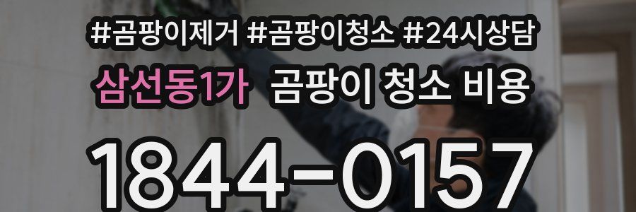 삼선동1가 곰팡이 청소 비용