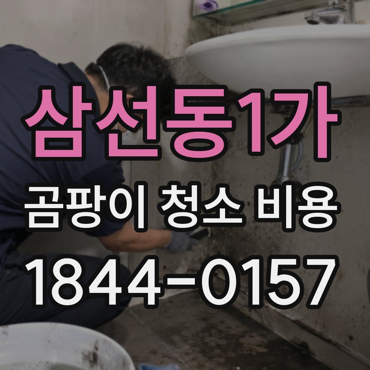삼선동1가 곰팡이 청소 비용