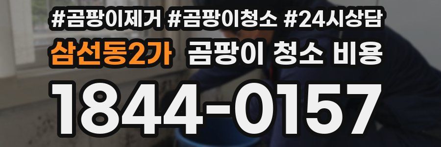 삼선동2가 곰팡이 청소 비용