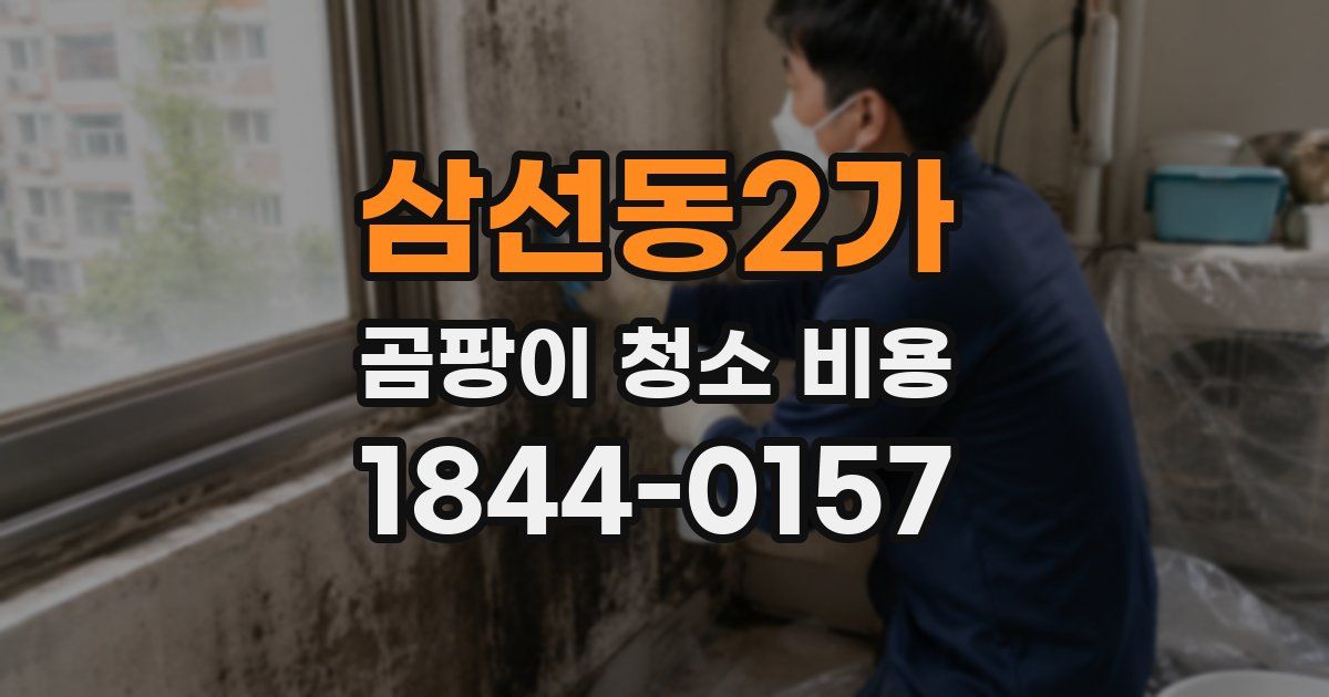 삼선동2가 곰팡이 청소 비용