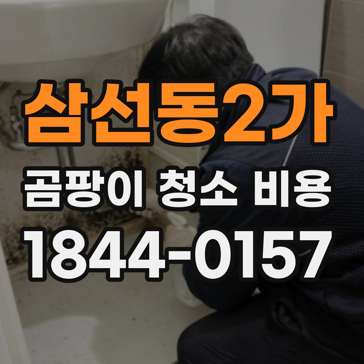 삼선동2가 곰팡이 청소 비용