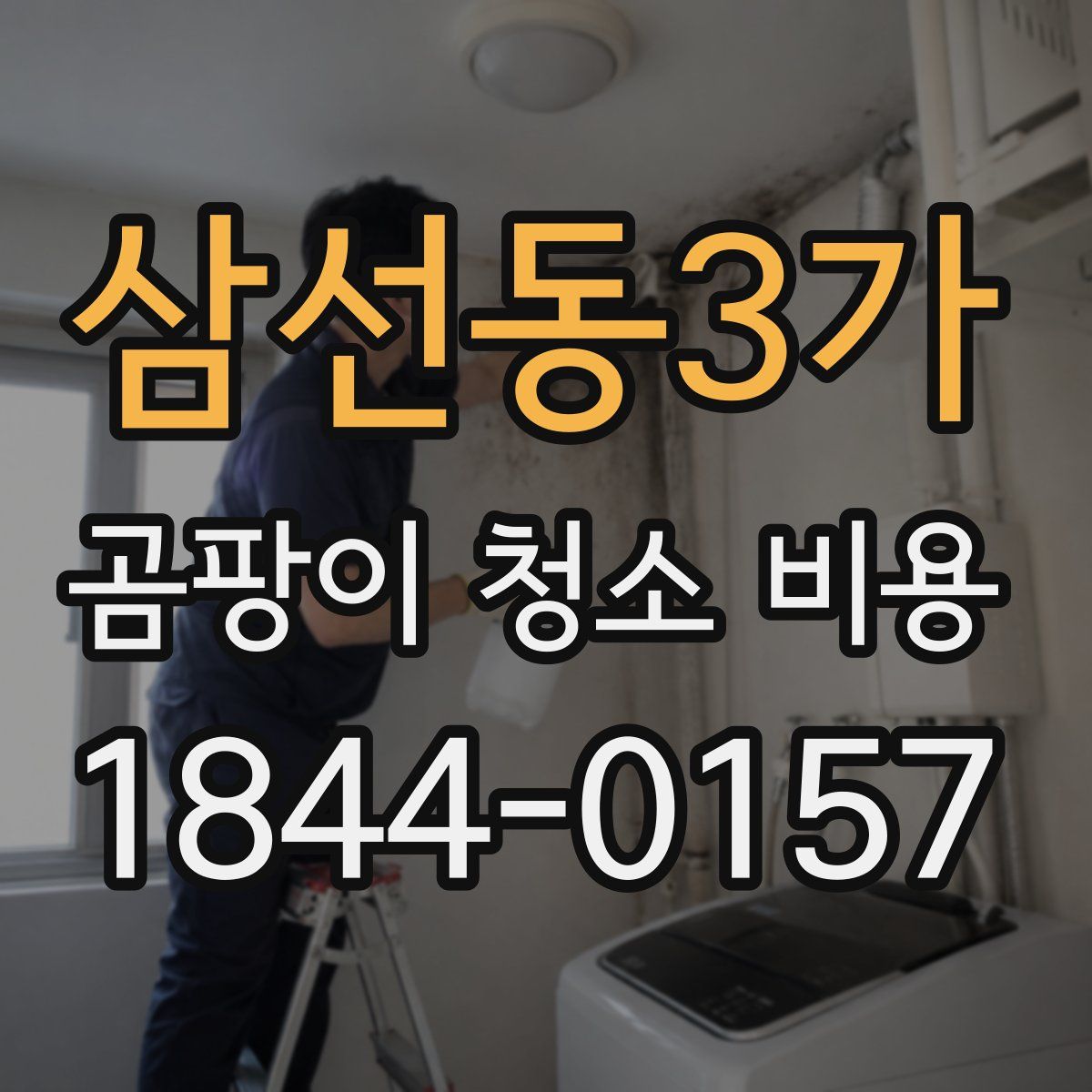 삼선동3가 곰팡이 청소 비용
