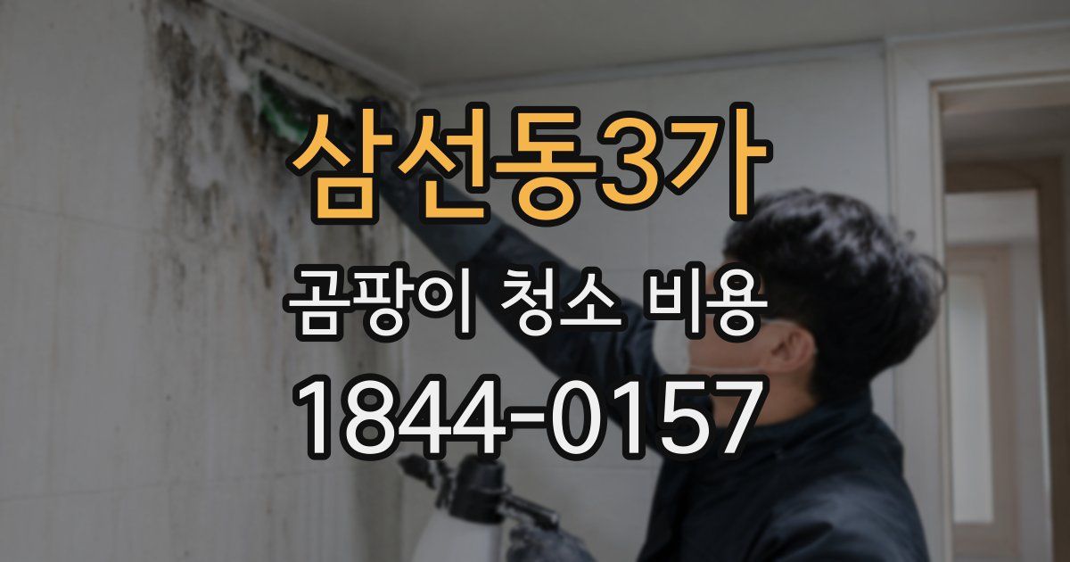 삼선동3가 곰팡이 청소 비용