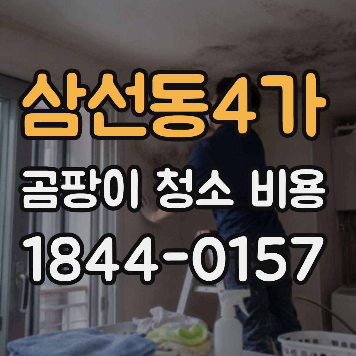 삼선동4가 곰팡이 청소 비용