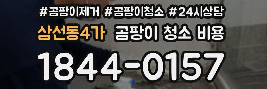 삼선동4가 곰팡이 청소 비용