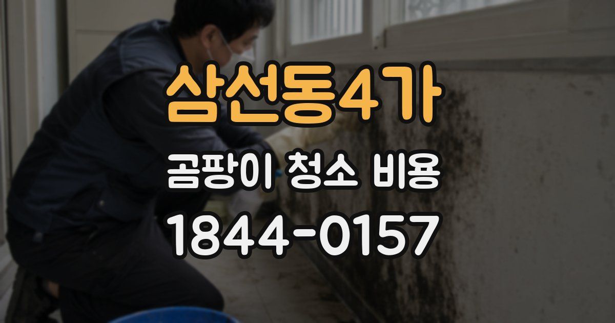 삼선동4가 곰팡이 청소 비용