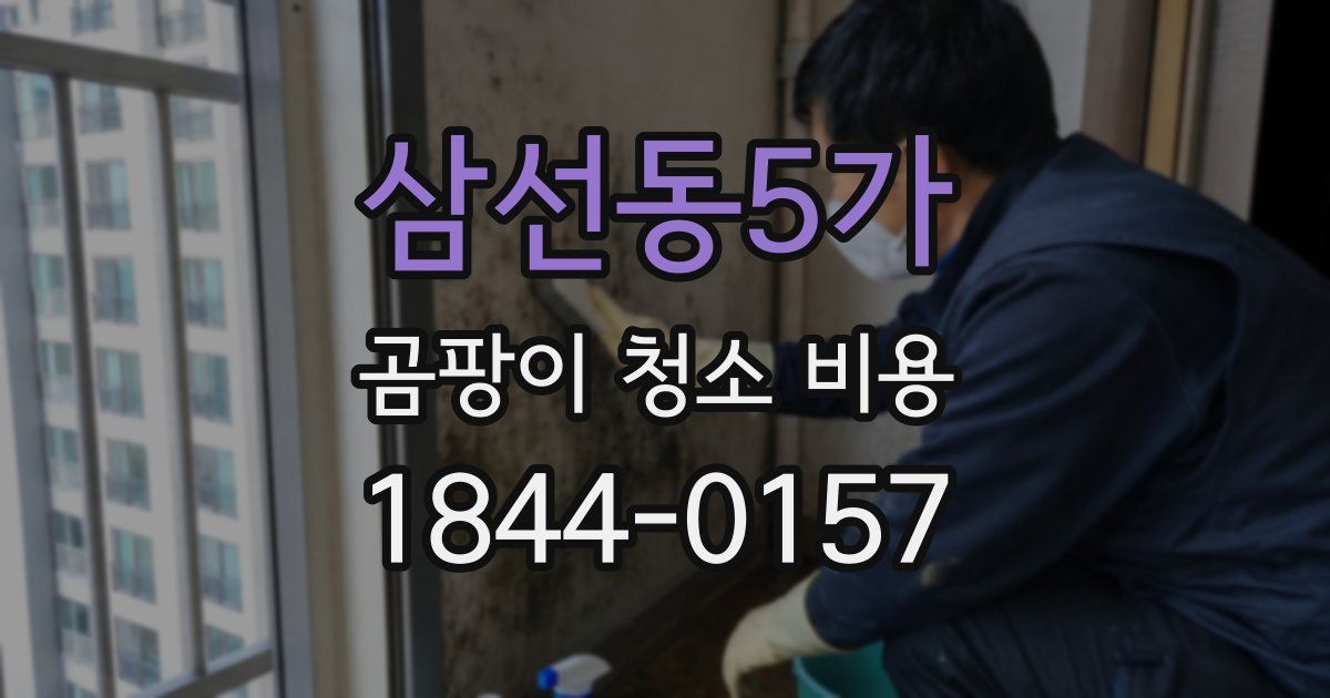 삼선동5가 곰팡이 청소 비용