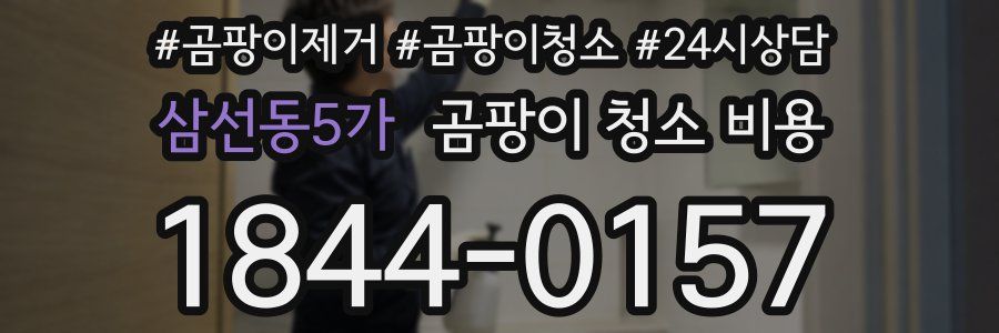 삼선동5가 곰팡이 청소 비용