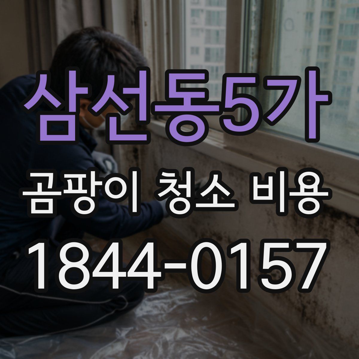 삼선동5가 곰팡이 청소 비용