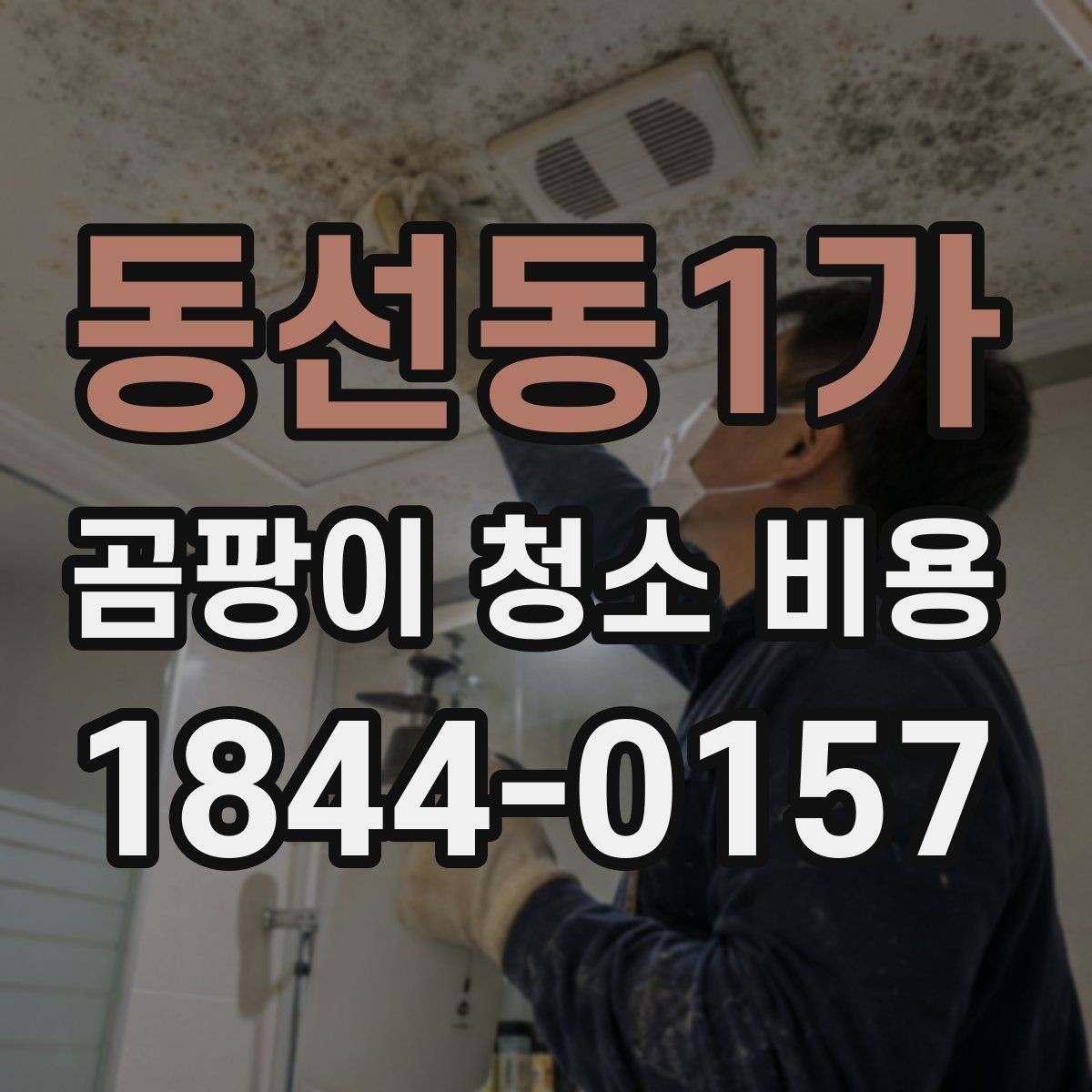 동선동1가 곰팡이 청소 비용 베란다 오염이 넓을 때 우선 확인할 항목