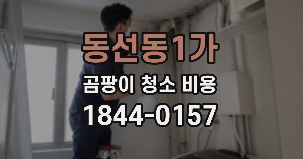 동선동1가 곰팡이 청소 비용
