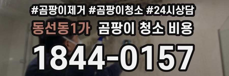 동선동1가 곰팡이 청소 비용