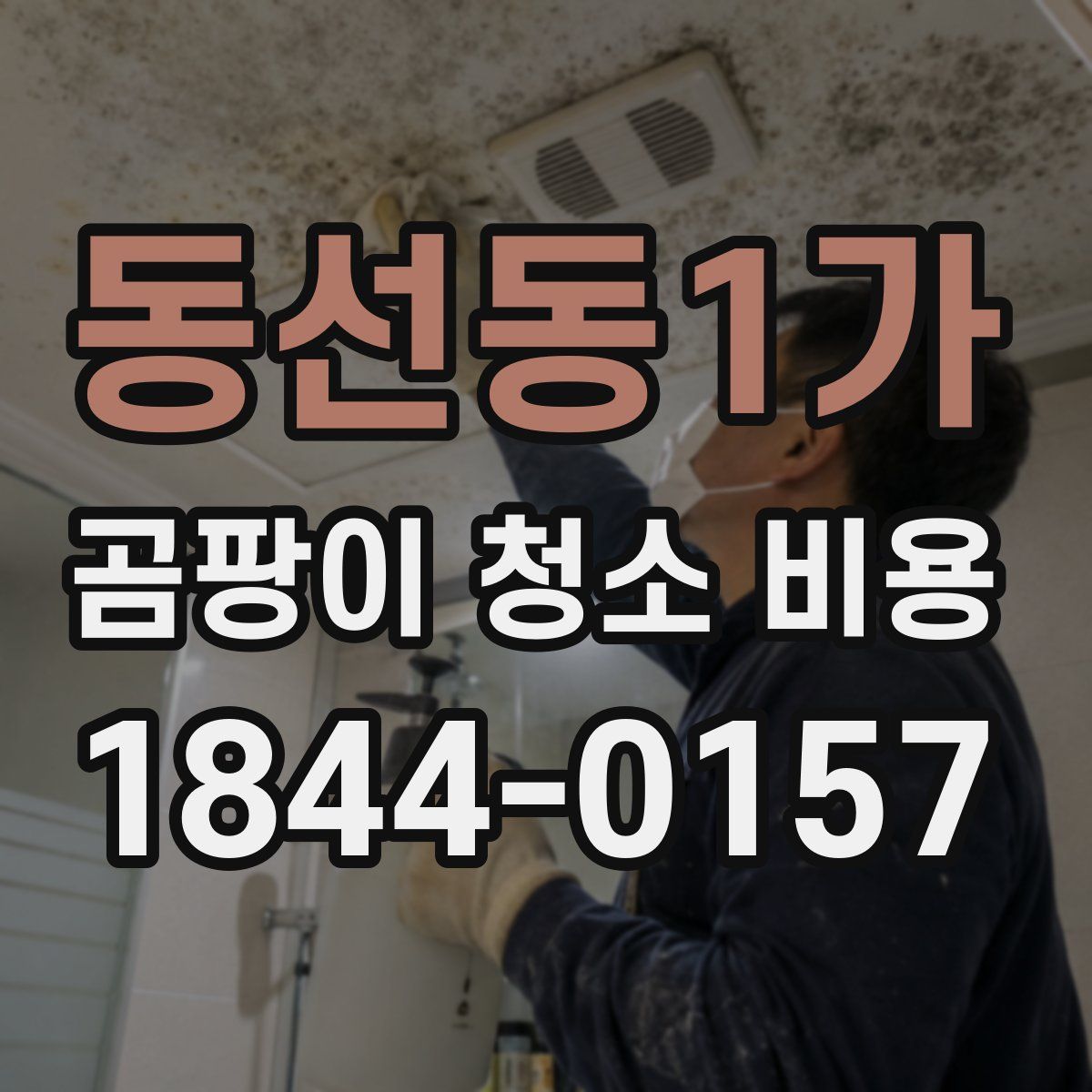 동선동1가 곰팡이 청소 비용