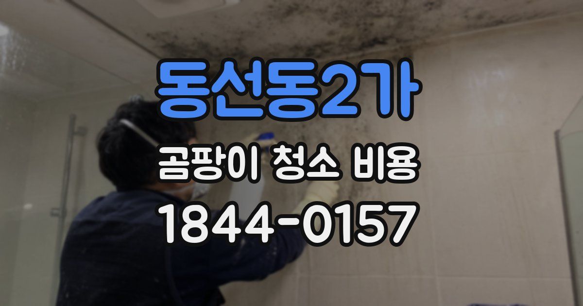 동선동2가 곰팡이 청소 비용
