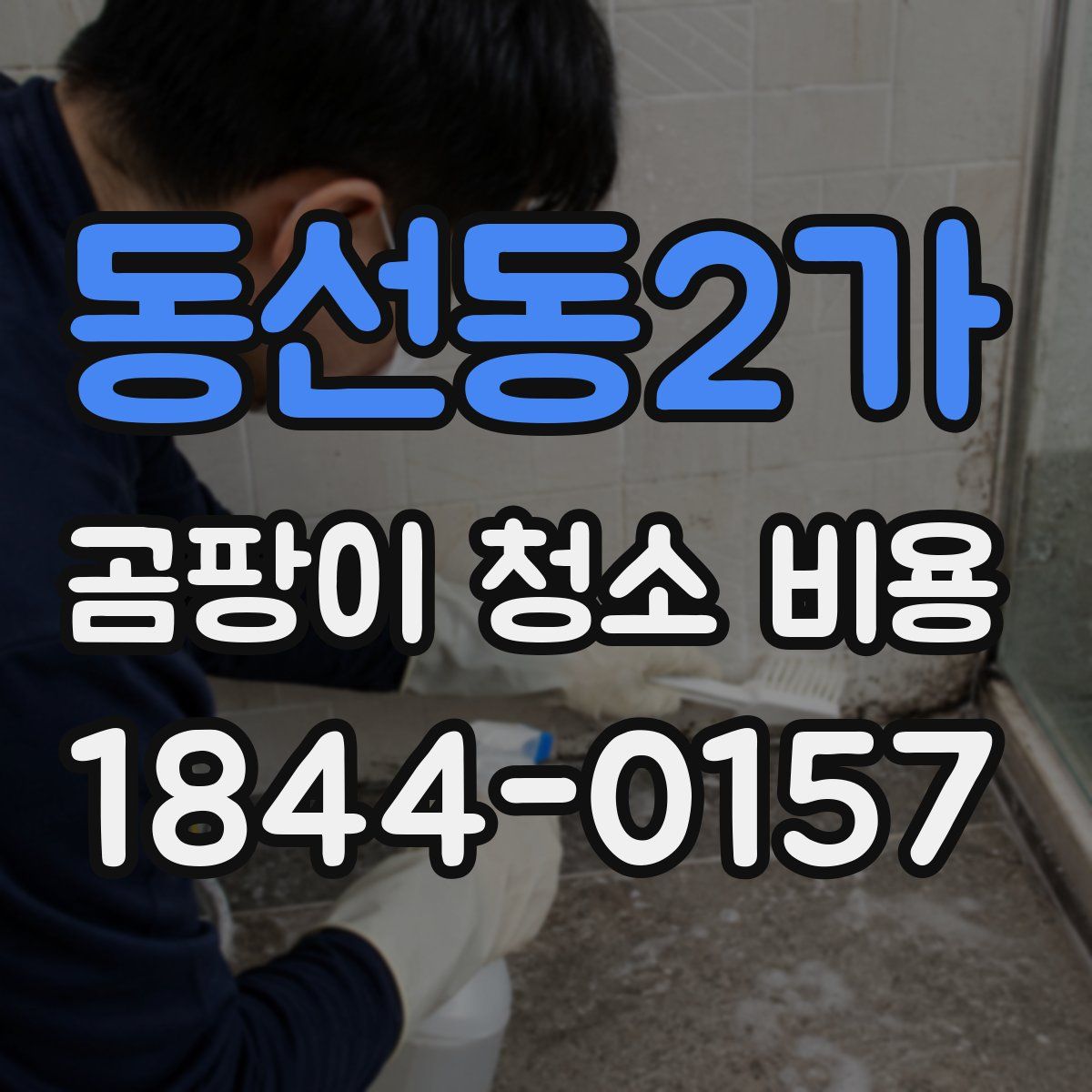 동선동2가 곰팡이 청소 비용