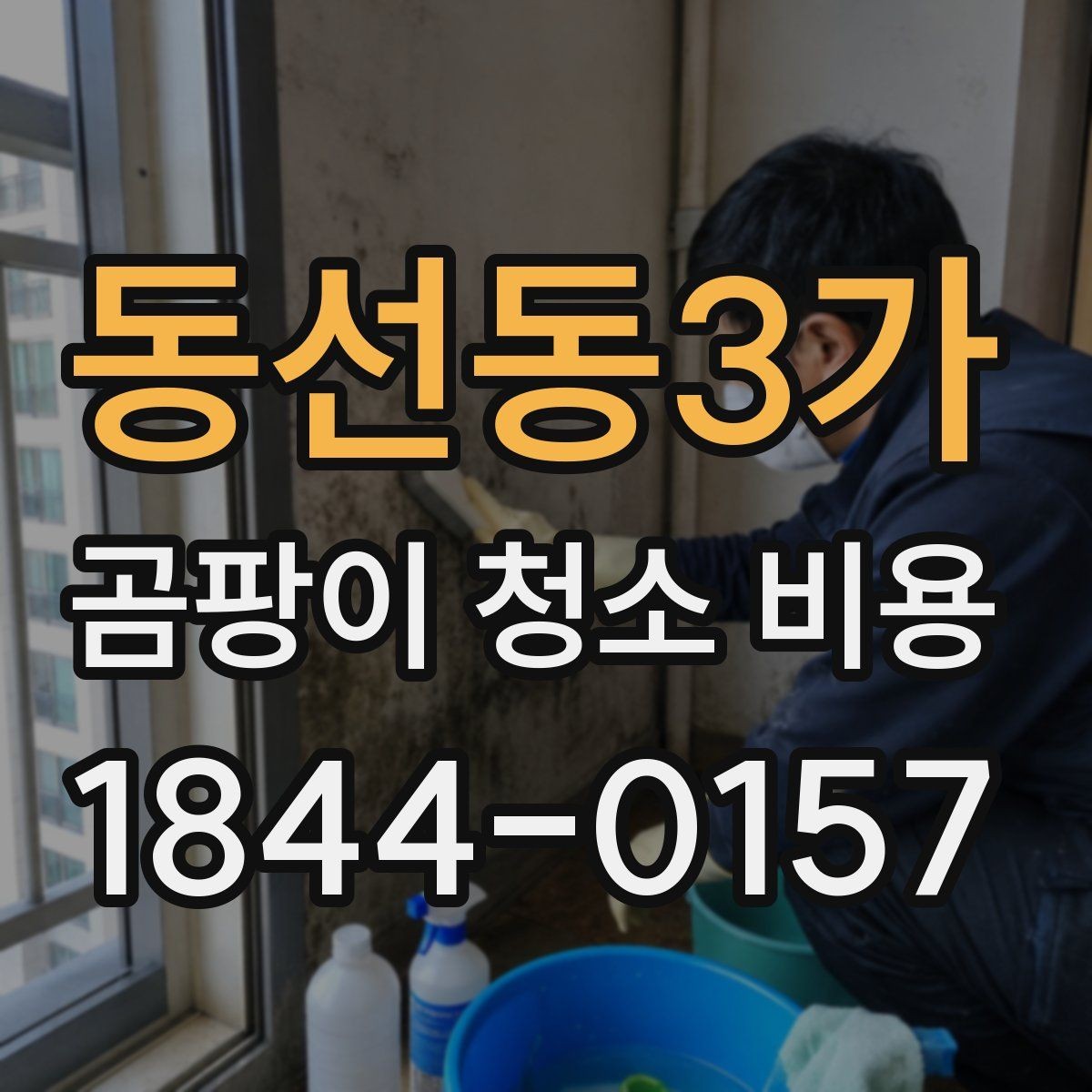 동선동3가 곰팡이 청소 비용 부분 청소와 전체 작업 범위