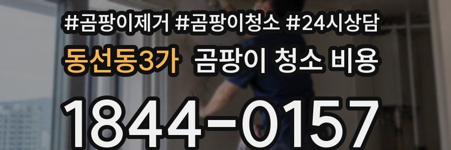 동선동3가 곰팡이 청소 비용