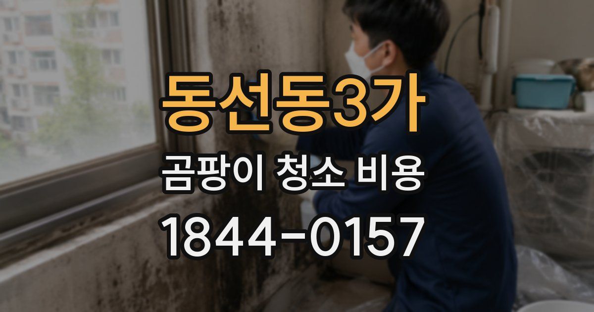 동선동3가 곰팡이 청소 비용