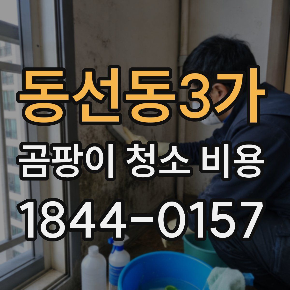 동선동3가 곰팡이 청소 비용